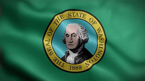 Washington State Flag Front