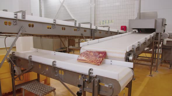 Conveyor in Cold Shop of Enterprise for Processing of Meat Products