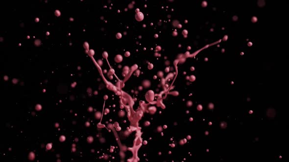 Bright Red And Pink Paint Splashing With Droplets Into Air alt