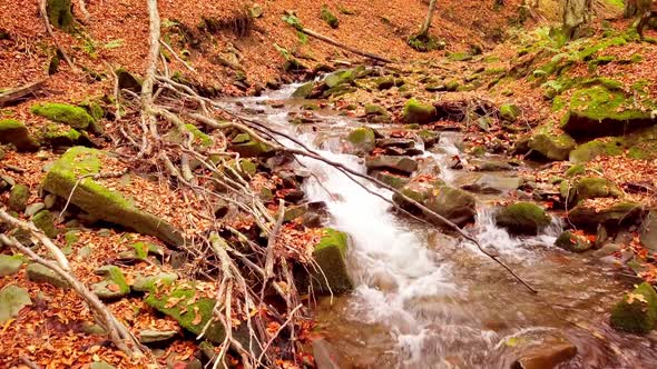 Footage of Wonderful Mountain Stream in the Shypit Karpat National Park