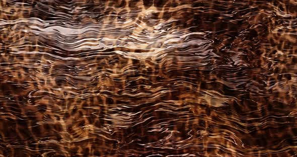 abstract animal skin background animation