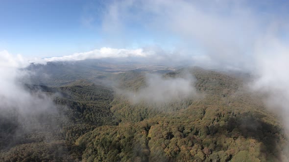 Sabaduri Mountain. Autumn forest. Georgia alt