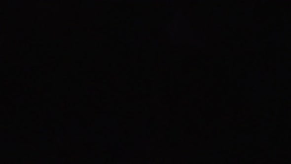 Portrait of a Beautiful Girl Dancing at the Stage During a Concert of Her Favorite Band alt