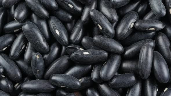 a lot of black bean