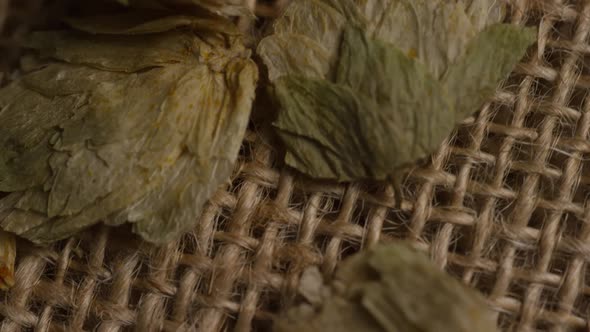 Rotating shot of barley and other beer brewing ingredients - BEER BREWING 259 alt