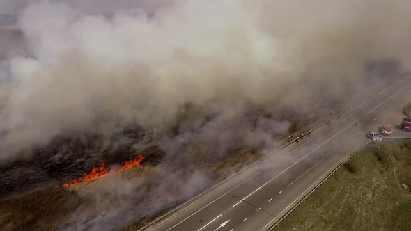 Fire, Dry Grass Lanes in Fire, Firefighters at Work, Disaster, Ecological Catastrophe