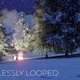 Camp Fire In The Snow Fall In Pine Forest At Night 1 - VideoHive Item for Sale