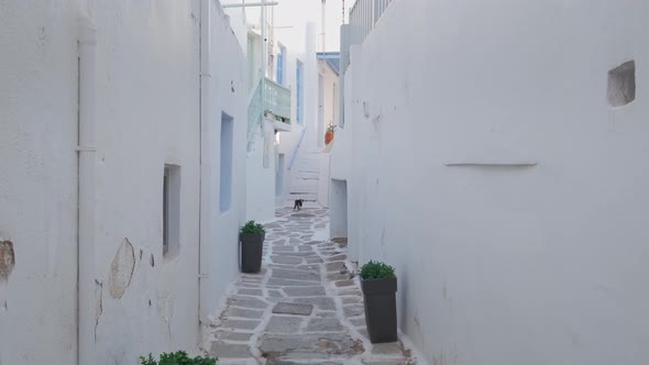 Walking in Naousa Street on Paros Island, Greece alt