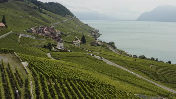 Aerial flying above vineyards towards little Winetown at Lavaux, Switzerland alt