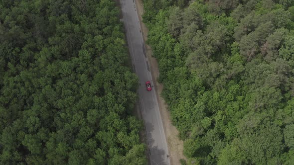 Red Car Driving in Forest