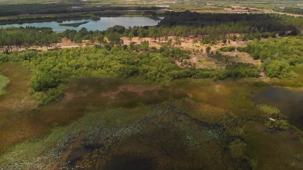 Aerial View Of Florida Wetland