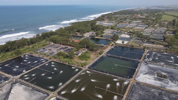 Aerial view, captivity or shrimp pond in southern yogyakarta on the coast of samas. Fresh seafood fi alt