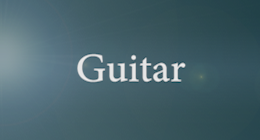 Guitar