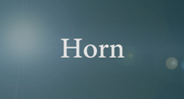 Horn