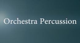Orchestra Percussion