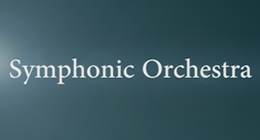 Symphonic Orchestra