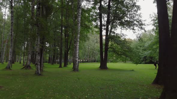 Aerial View in a Beautiful Park in St alt