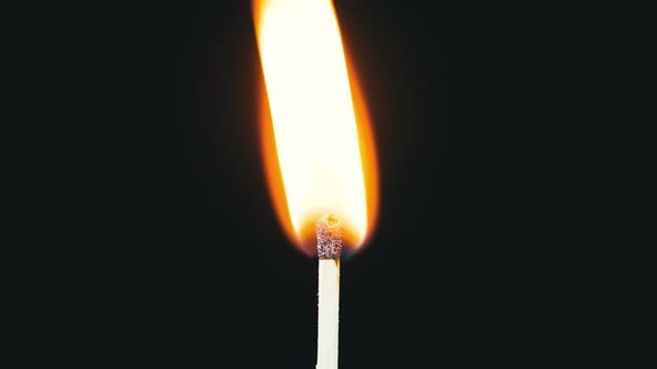 Igniting Match and Flame on a Black Background alt