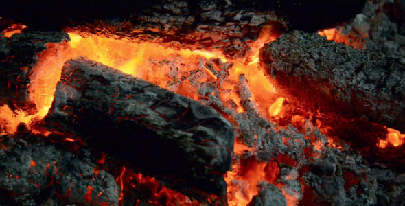 Firewood And Ashes Ablaze