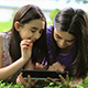 Girls Playing on Digital Tablet Outdoors  - VideoHive Item for Sale