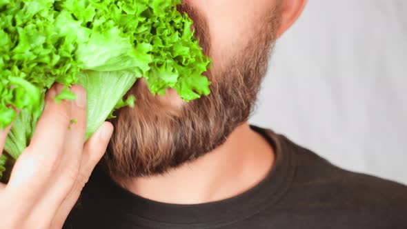 Close Up Face Handsome Man Eating Leaf Vegetable alt