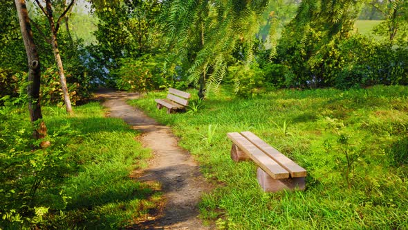 Wooden Bench in Nature By the Tree alt
