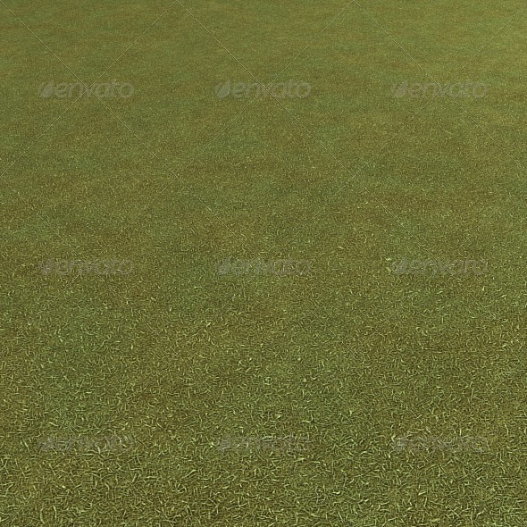 Grass Seamless Ground - 3Docean 6600184