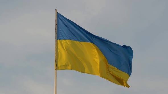 Slow Motion of Ukraine Flag Waving