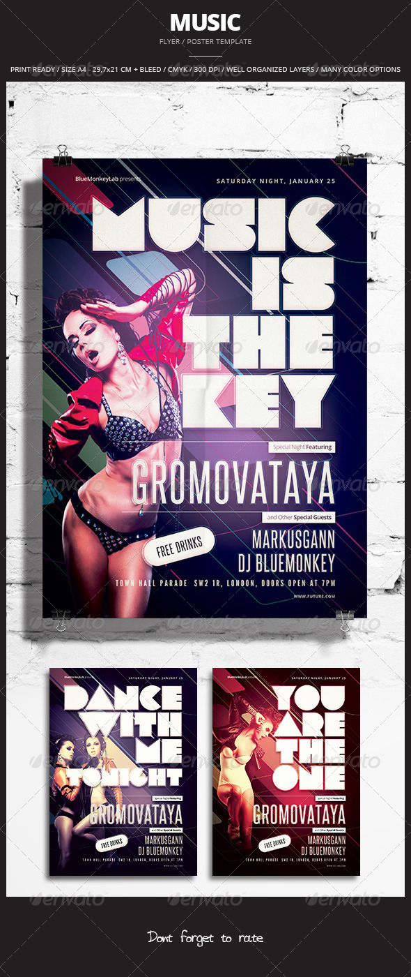 Music Flyer / Poster 9 - Print Templates