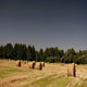 Bales of Hay - VideoHive Item for Sale