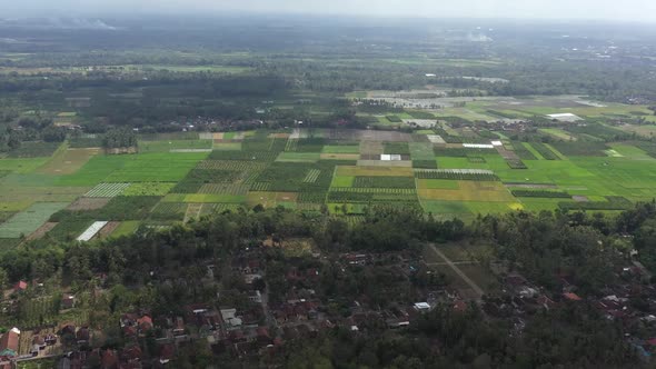 Aerial view of rural area with rice paddy with trees