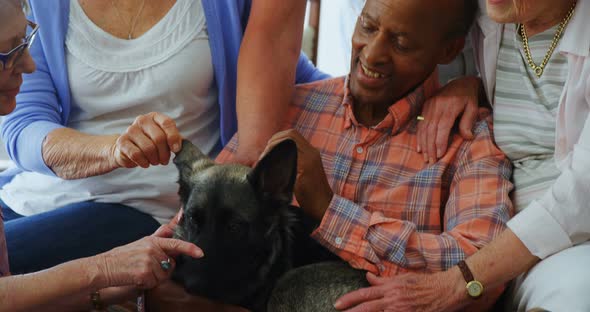 Senior friends petting a dog at retirement home 4k alt