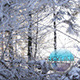 Travelling in Snow 4 - VideoHive Item for Sale