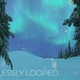 Snowy Winter Forest 1 - VideoHive Item for Sale