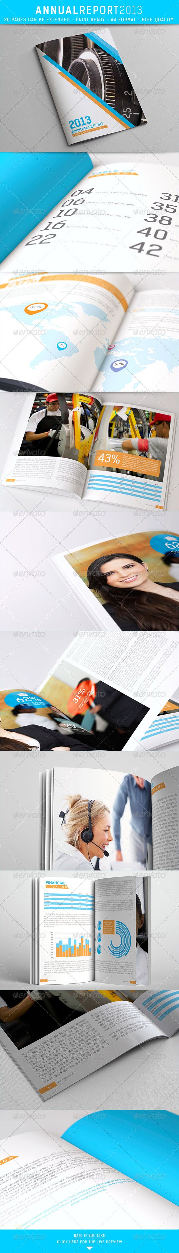 Annual Report 2013 - Brochures Print Templates