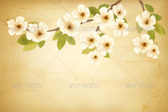 Vintage Background with Blossoming Tree Brunch - Flowers & Plants Nature