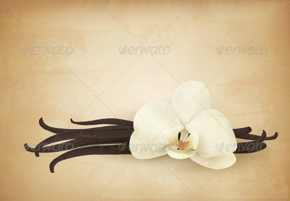 Vanilla Retro Background - Food Objects