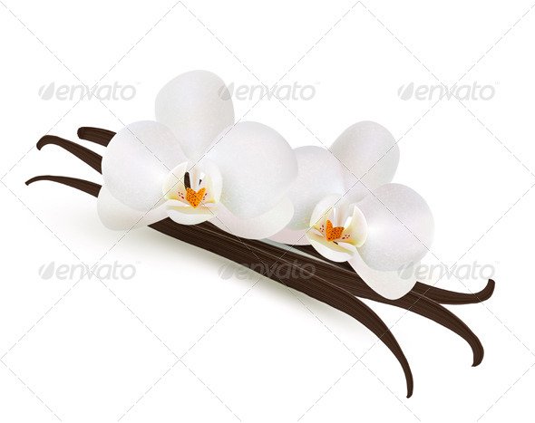 Vanilla with Two Flowers - Food Objects