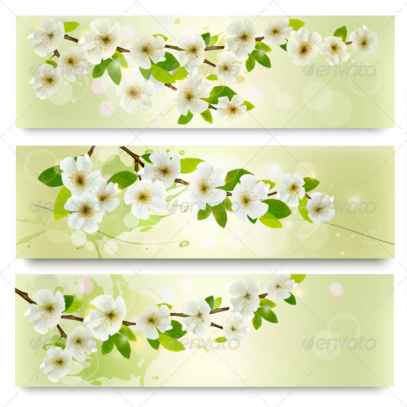 Blossoming Tree Brunch - Flowers & Plants Nature