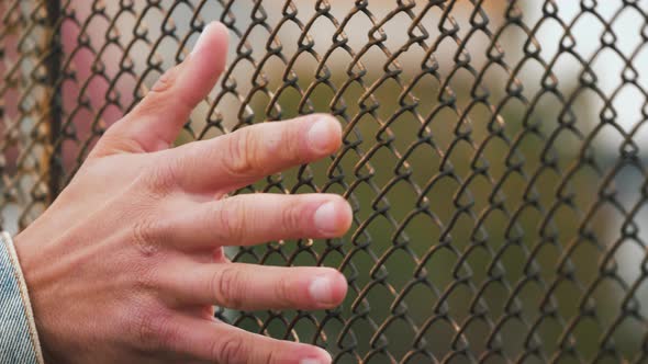 Man hand moving along the surface of grid. Fingers of young male touching metal wire fence. Close up alt
