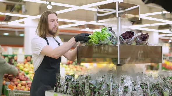 Man Replenishes Products on the Shelves Worker Puts the Green Salad Packages on the Shelves in an alt