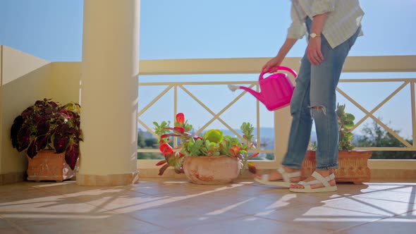 A Woman Watering a Plant in a Pot From a Watering Can alt