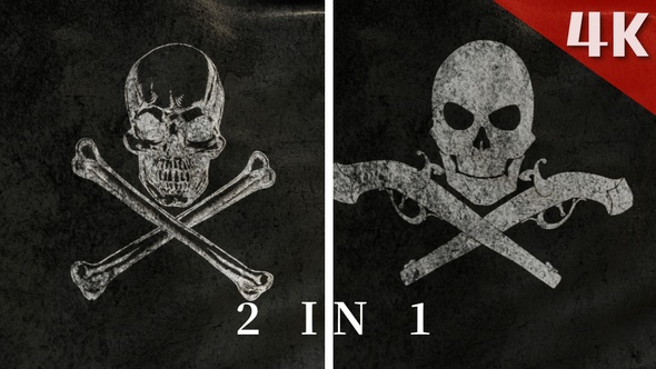 2 In 1 For Pirate Flag