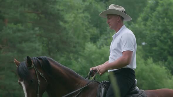 Cowboy in a Hat Ride a Horse in a Clearing Near the Forest Walk on Horseback Adventure alt