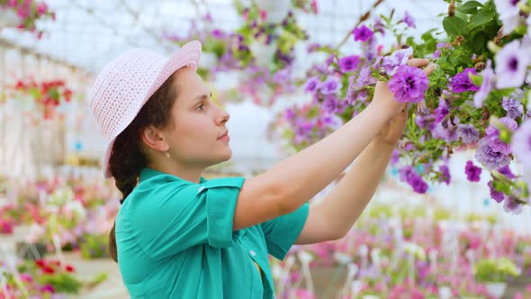Side View of a Diligent Greenhouse Worker Who Takes Care of Flowers Woman Picks Off Dry Petals alt