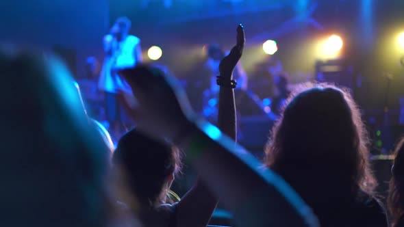 Crowd of Fans of the Musical Band Applauding in a Nightclub During Live Performance alt