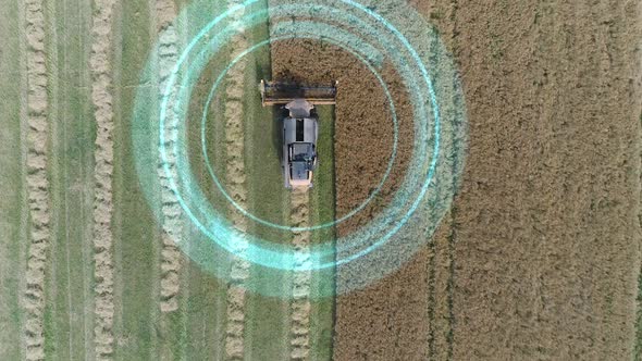Electric Combine Harvester Removes Oats View From Height Tracking GPS System HUD Motion Graphics alt