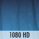Dark Foggy Forest 2 (2-Pack) - VideoHive Item for Sale