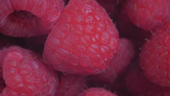 Top View Many Fresh Juicy Red Raspberries on Rotating Surface Close Up