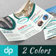 Real Estate Business TriFold Brochure | Volume 2